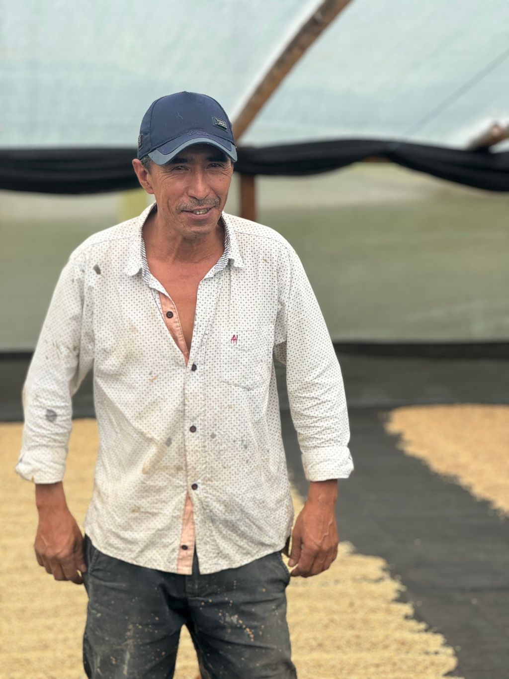 José Martinez